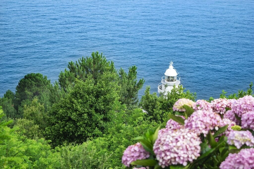 coast, lighthouse, flower background-8244662.jpg